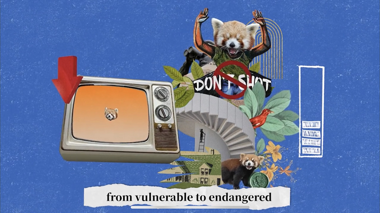 NetEase se disculpa por el video de identidad «insensible» de V Panda
